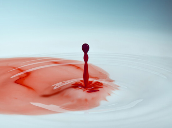 krwiomocz krwiomocz zielona góra chirurg urolog